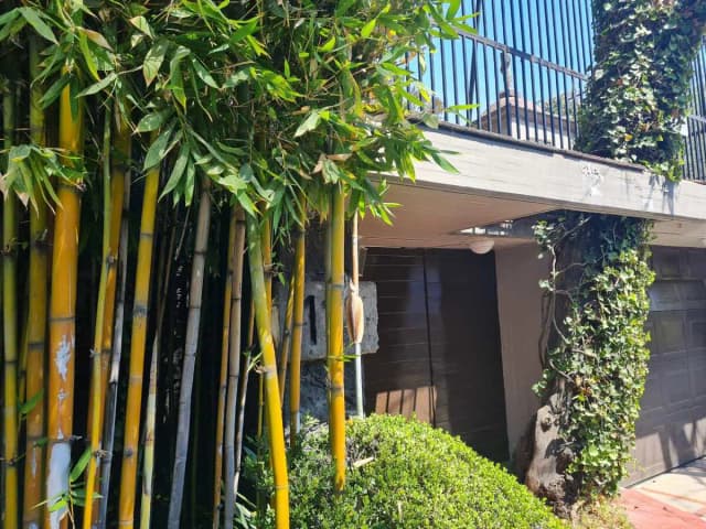 Casa en Venta en Jardines del Pedregal, Álvaro Obregón, Ciudad de México