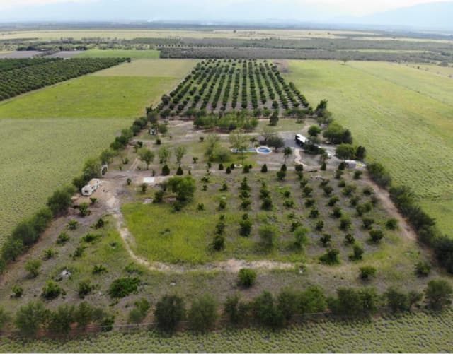 Terreno en Venta en Atongo de Abajo (Atongo Allende), Allende, Nuevo León