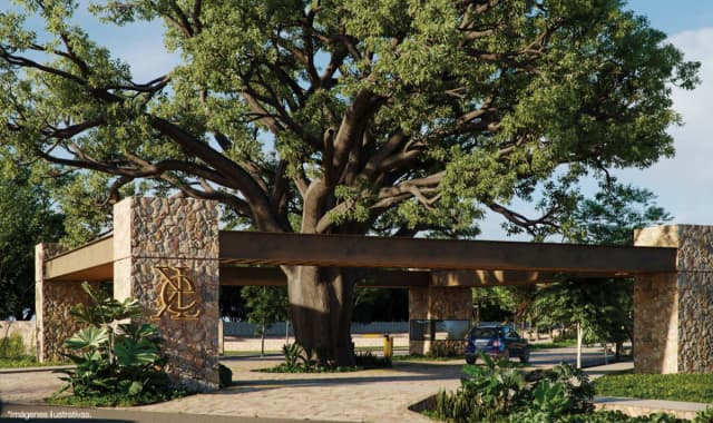 Terreno en Venta en San Ignacio Tesip, Mérida, Yucatán