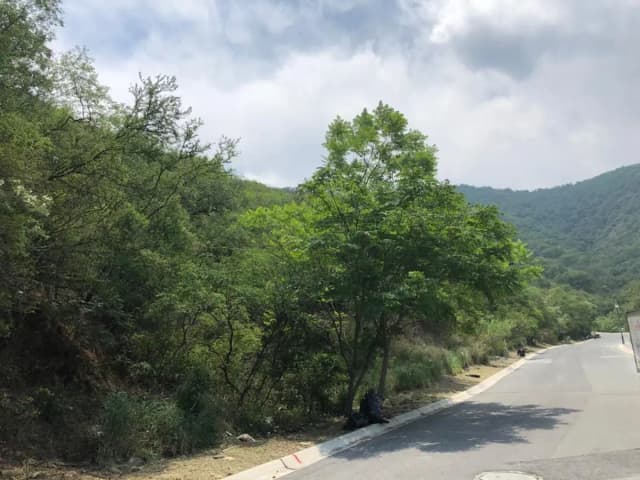 Terreno en Venta en Renacimiento, Monterrey, Nuevo León