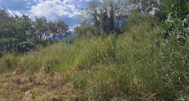 Terreno en Renta en Sección Buenavista, Allende, Nuevo León