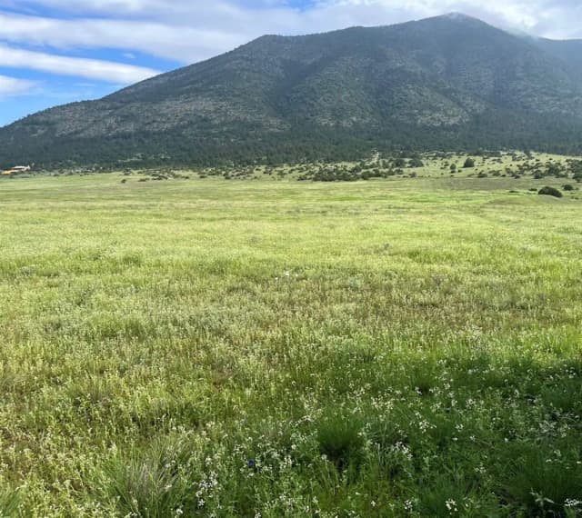 Terreno en Venta en Arteaga Centro, Arteaga, Coahuila de Zaragoza