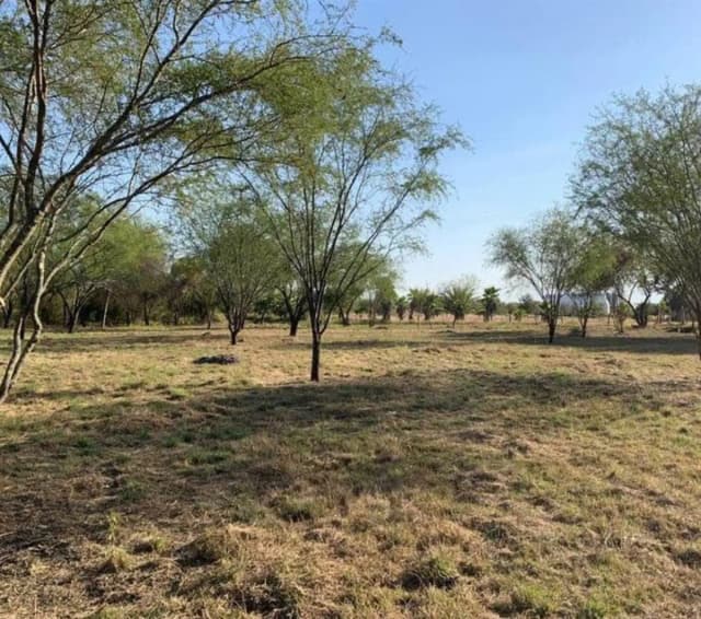 Terreno en Venta en Ciudad de Allende Centro, Allende, Nuevo León