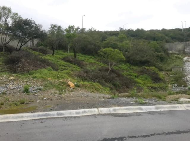 Terreno en Venta en Sierra Alta, Monterrey, Nuevo León