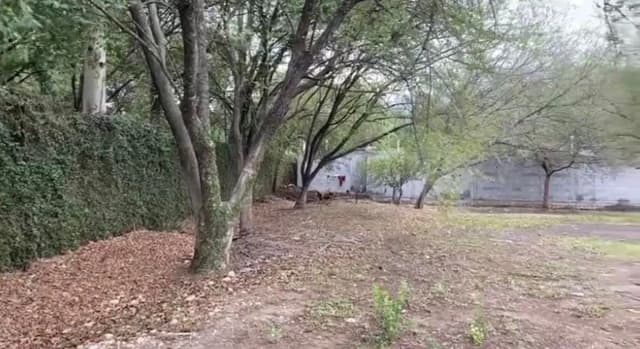 Terreno en Venta en Cerezos Residencial, Monterrey, Nuevo León