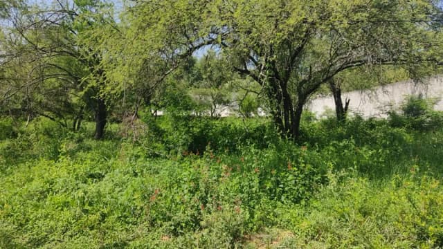 Terreno en Venta en El Barrial, Santiago, Nuevo León