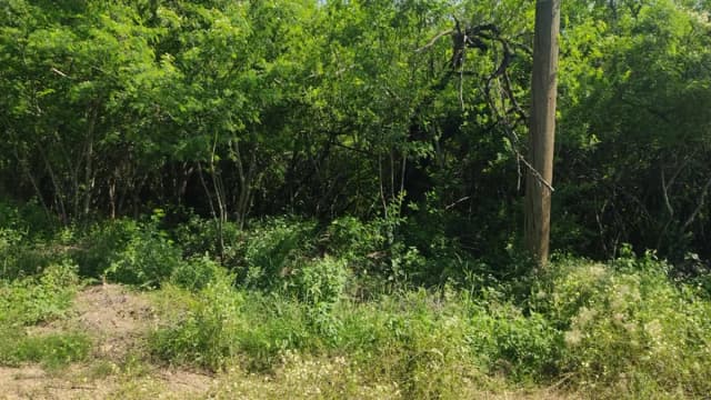 Terreno en Venta en El Barrial, Santiago, Nuevo León