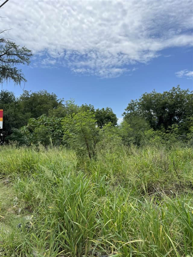 Terreno en Renta en Sección Buenavista, Allende, Nuevo León