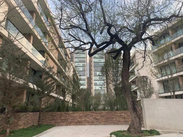 Departamento en Renta en Jeronimo Siller, San Pedro Garza García, Nuevo León