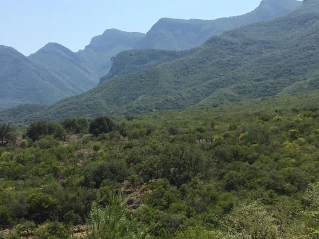 Terreno en Venta en El Barrial, Santiago, Nuevo León