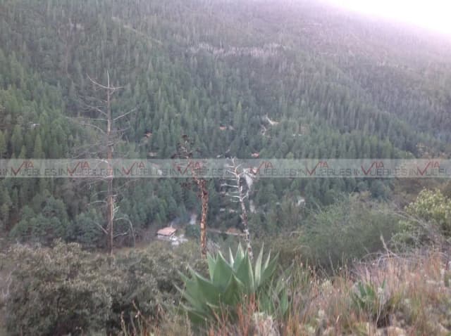 Terreno en Venta en San Antonio de las Alazanas, Arteaga, Coahuila de Zaragoza
