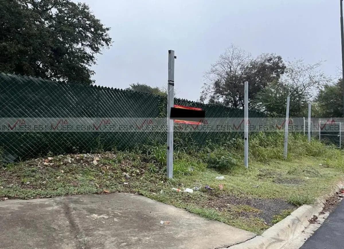 Fotos adicionales