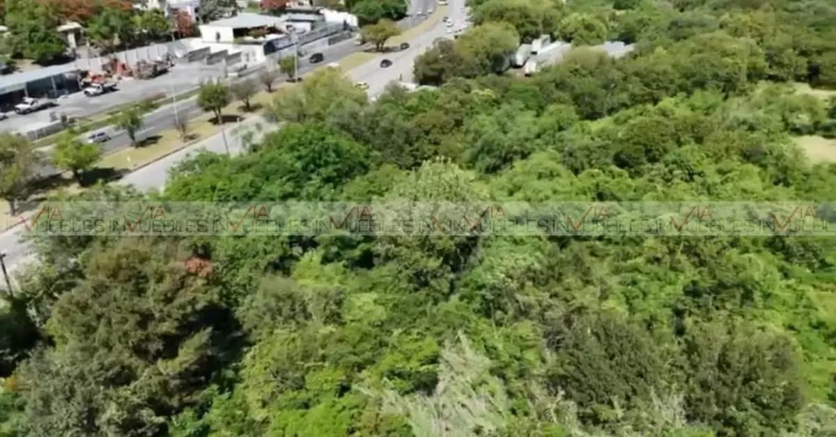 Fotos adicionales