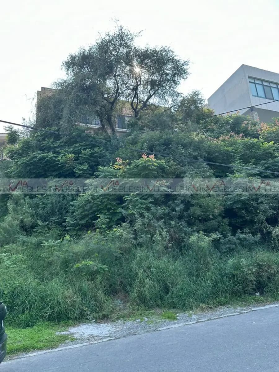 Fotos adicionales