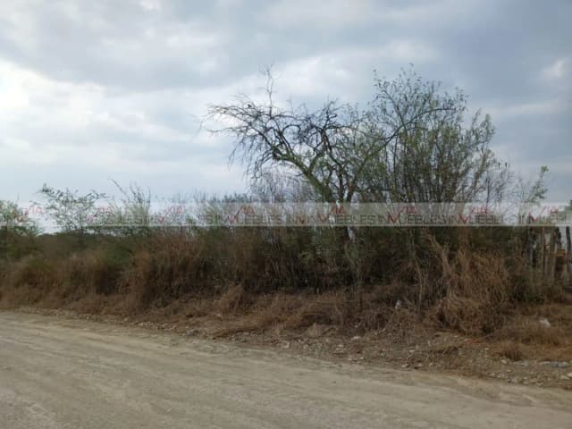 Terreno en Venta en El Fraile, Montemorelos, Nuevo León