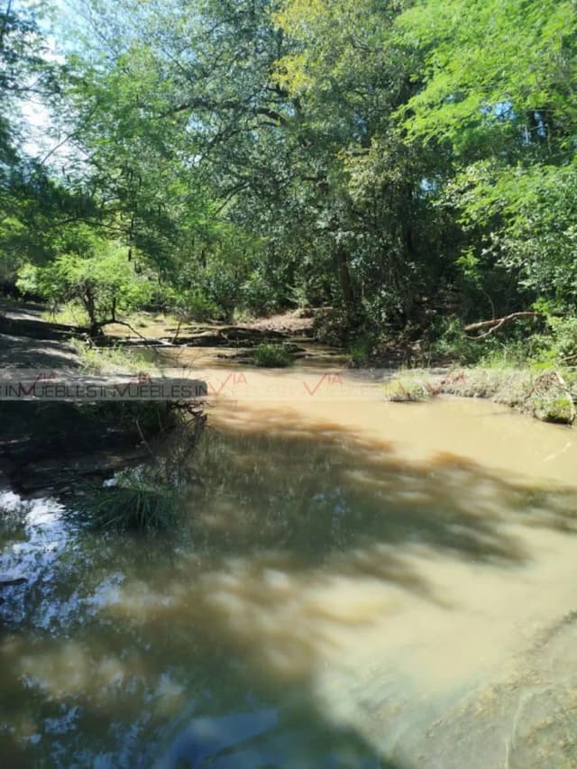 Terreno en Venta en El Toro, Montemorelos, Nuevo León