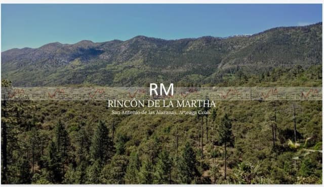 Terreno en Venta en San Antonio de las Alazanas, Arteaga, Coahuila de Zaragoza