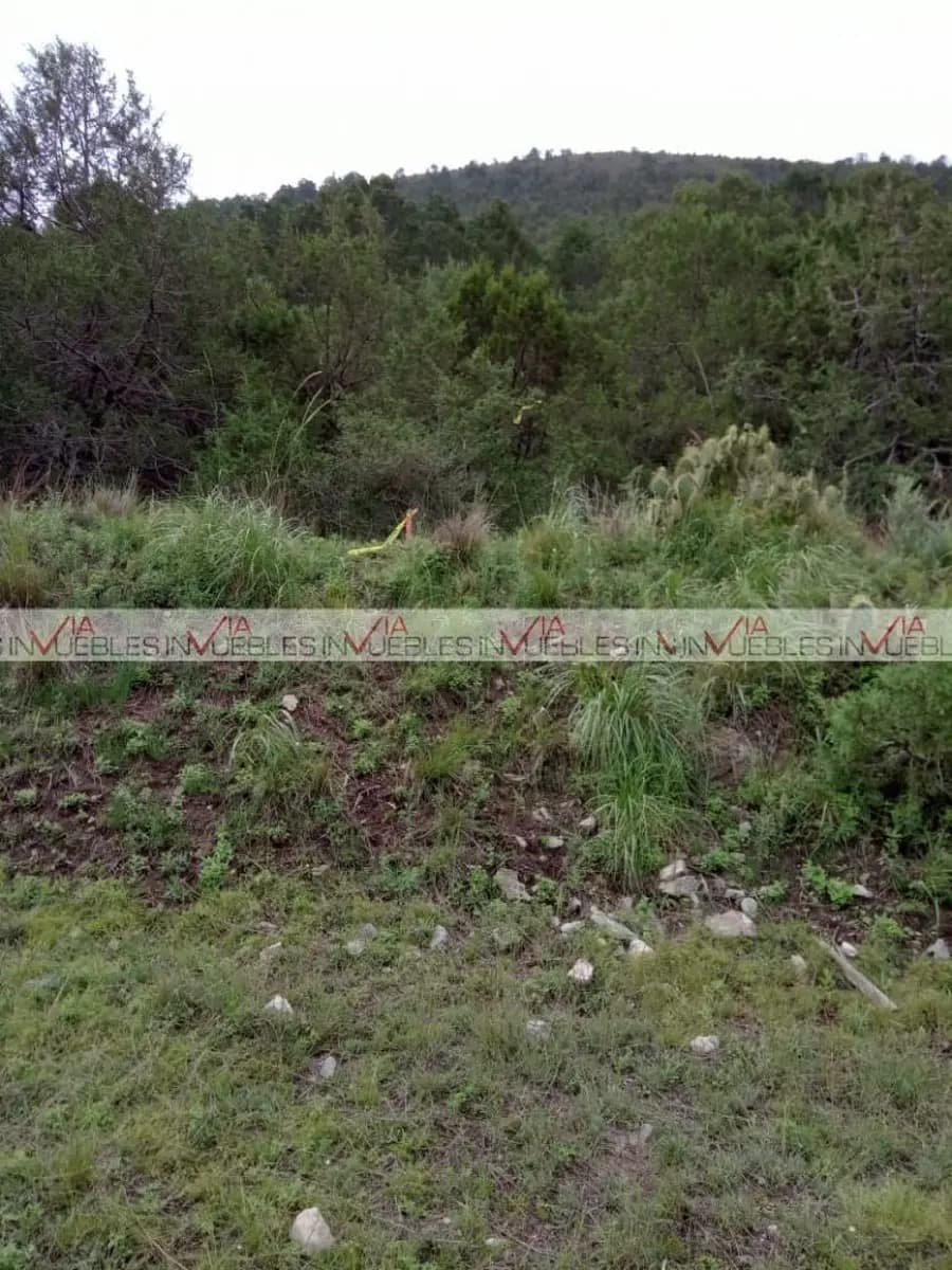 Fotos adicionales