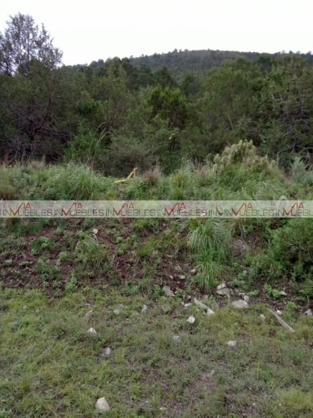 Terreno en Venta en Jame, Arteaga, Coahuila de Zaragoza