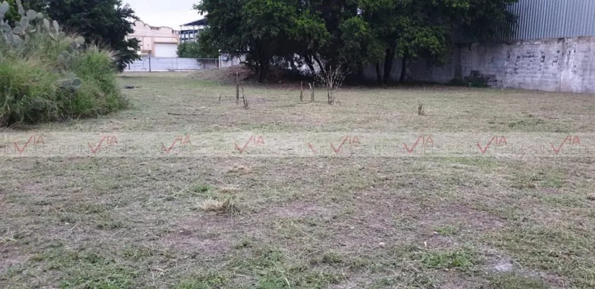 Fotos adicionales