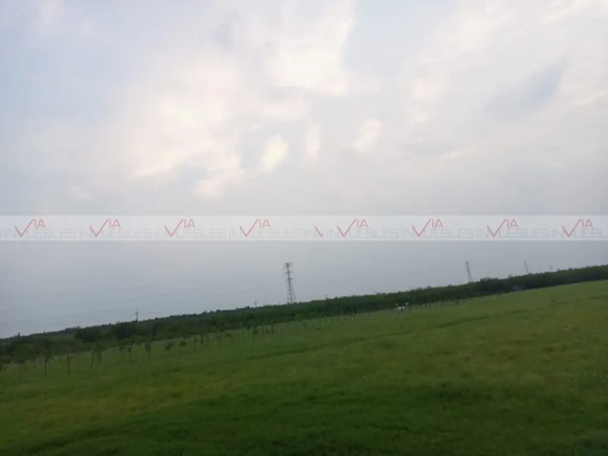 Fotos adicionales