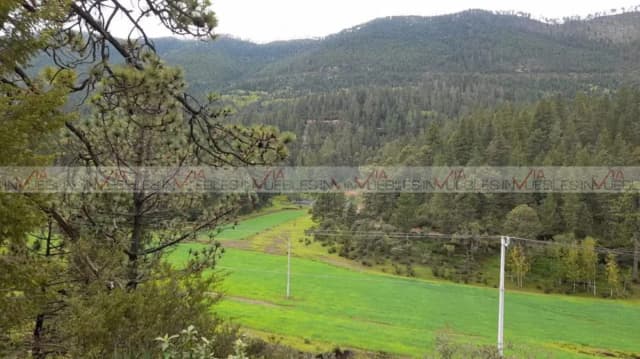 Terreno en Venta en Mesa de las Tablas, Arteaga, Coahuila de Zaragoza