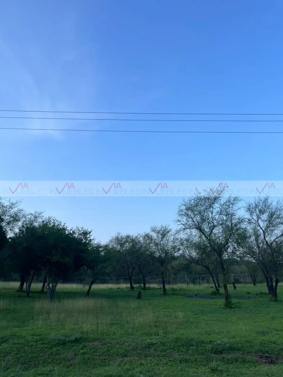 Fotos adicionales