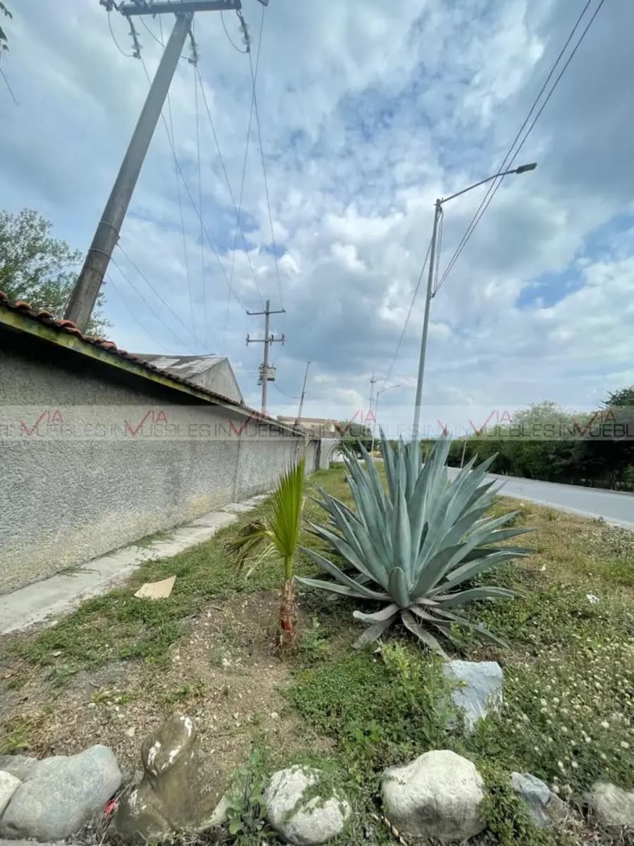 Fotos adicionales