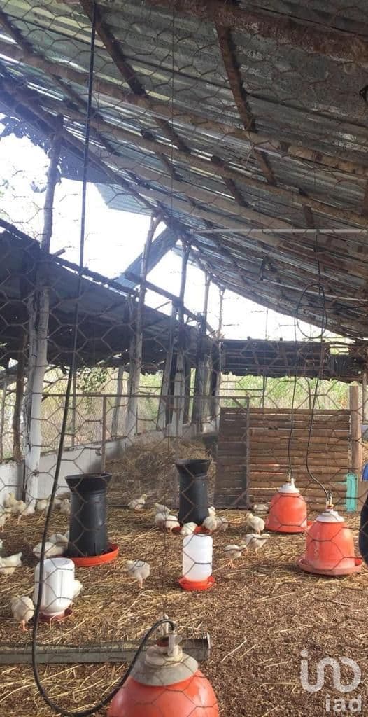 PROPIEDAD CON CASA, GRANJA Y AMPLIO TERRENO EN SITPACH NORTE YUCATAN
