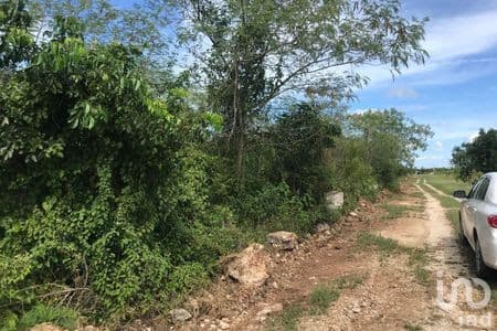 Terreno en Venta en Sitpach Conkal al norte de Mérida