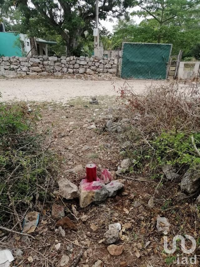 Terreno a la venta en Conkal. Yucatán
