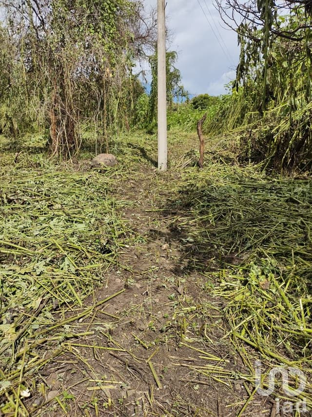 Terreno en Venta frente al Lago de Tequesquitengo, Jojutla, Morelos