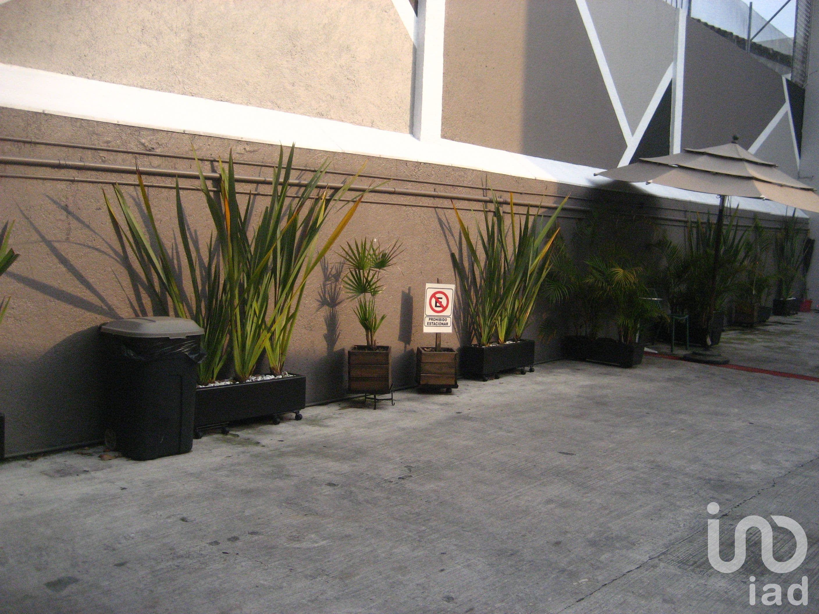 Fotos adicionales