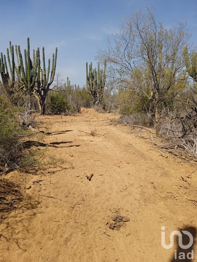 TERRENOS RÚSTICOS CAMPESTRES EN VENTA LOTIFICADOS POR HECTÁREA RANCHO ALEGRE