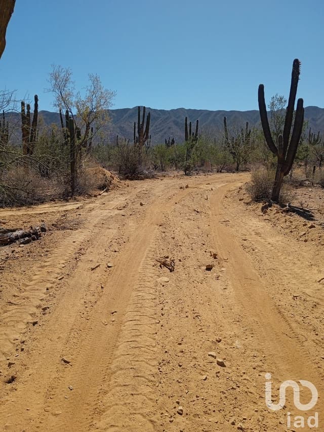 TERRENOS RÚSTICOS CAMPESTRES EN VENTA LOTIFICADOS POR HECTÁREA RANCHO ALEGRE