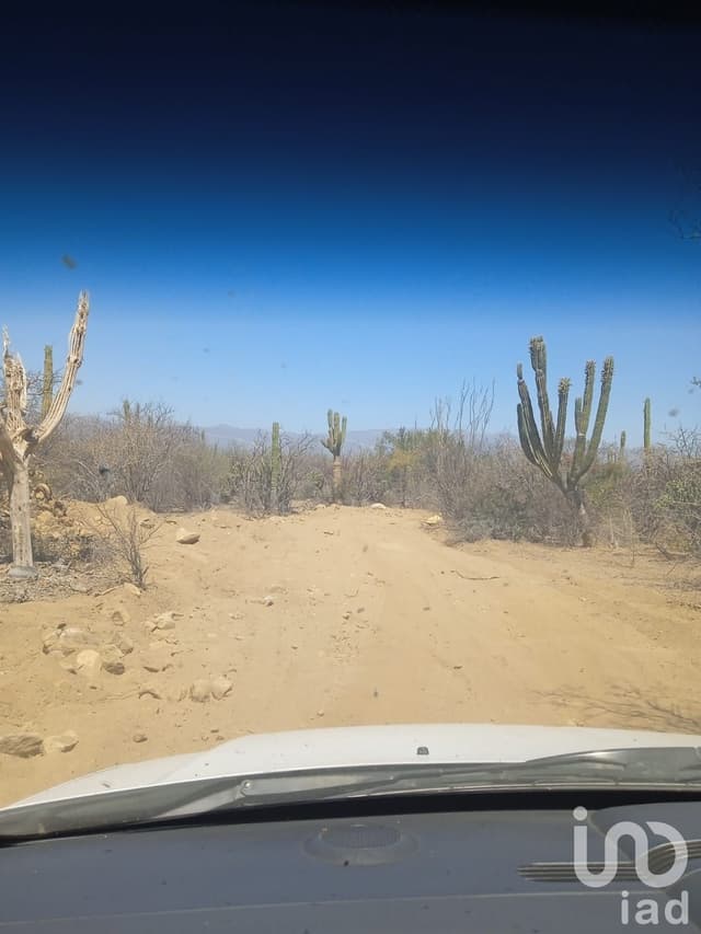TERRENOS RÚSTICOS CAMPESTRES EN VENTA LOTIFICADOS POR HECTÁREA RANCHO ALEGRE