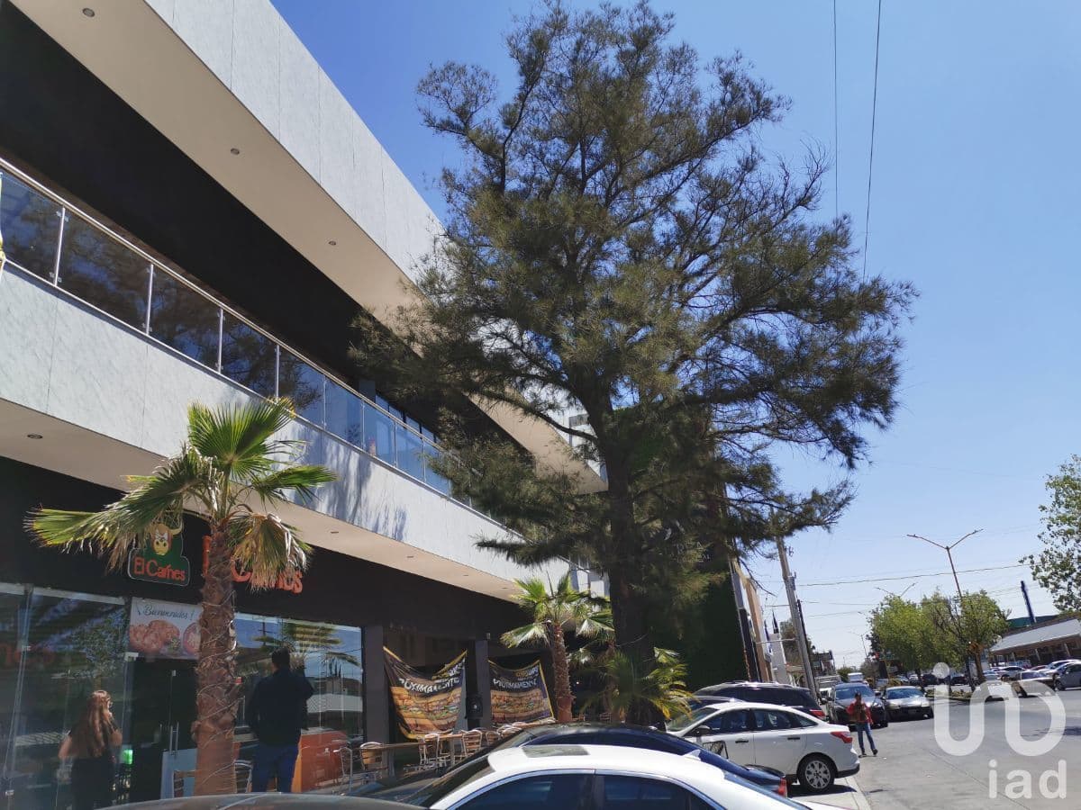 Fotos adicionales
