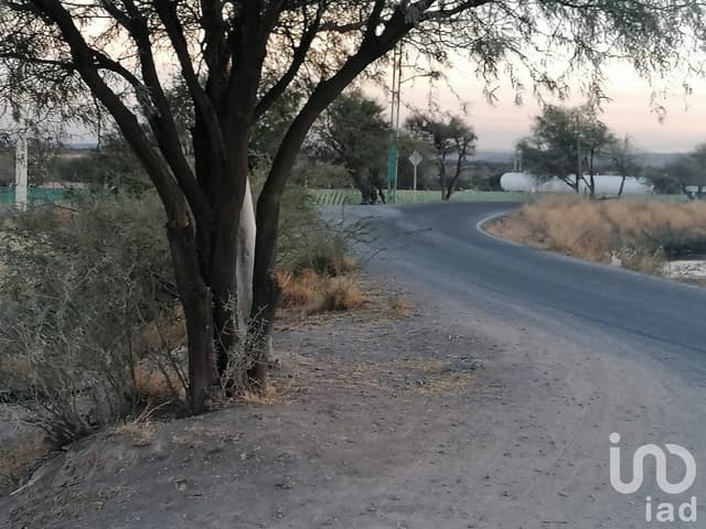 RANCHO ECOLASTICAS, PEDRO ESCOBEDO