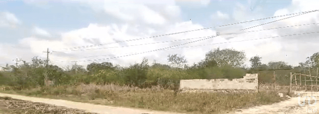 Terreno en Venta en Mérida Yucatán, San Matías Cosgaya