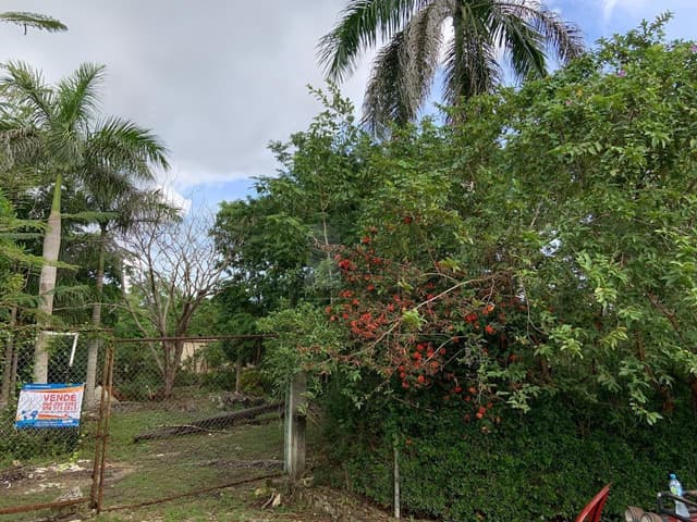 Terreno en Venta en Bonfil, Cancun Quintana Roo