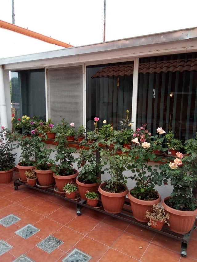 Casa en Venta en Santiago Cuautlalpan, Texcoco, Estado de México.