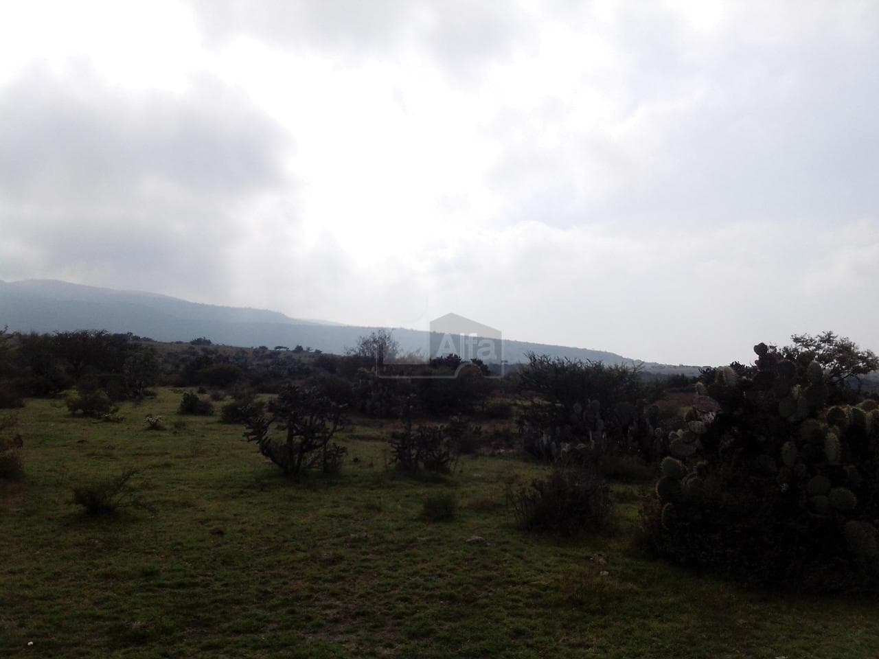 Fotos adicionales