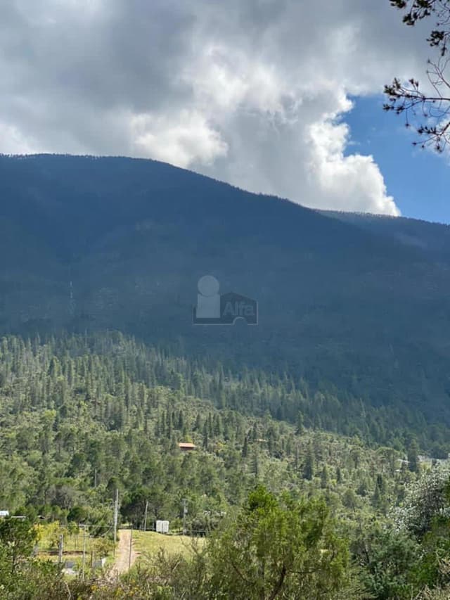 Terreno campestre en venta en Los Lirios Sierra de Arteaga Coahuila Cabañas