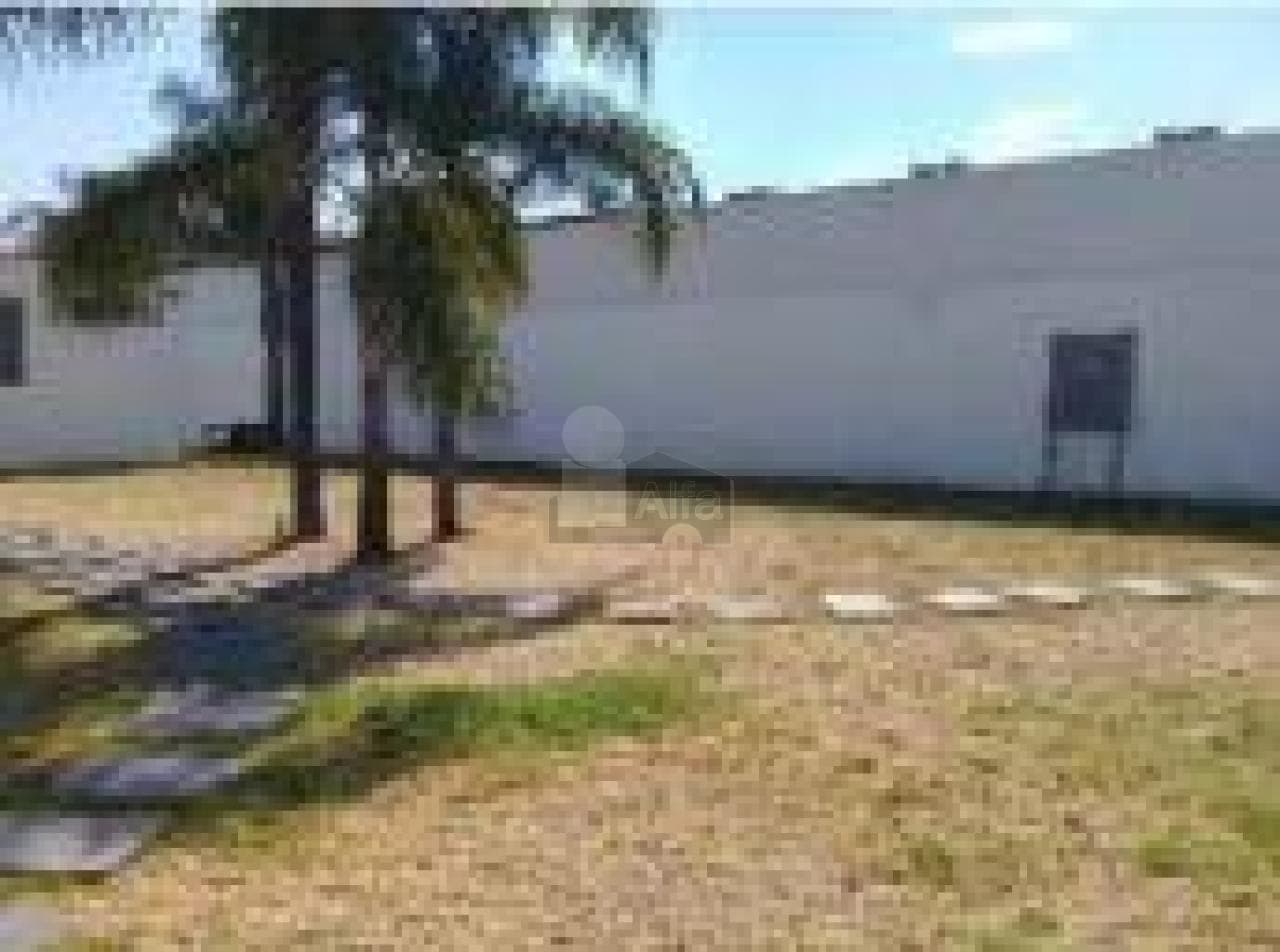 Fotos adicionales