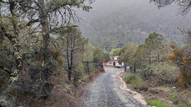 Terreno campestre en venta en Los Lirios Sierra de Arteaga Coahuila Cabañas