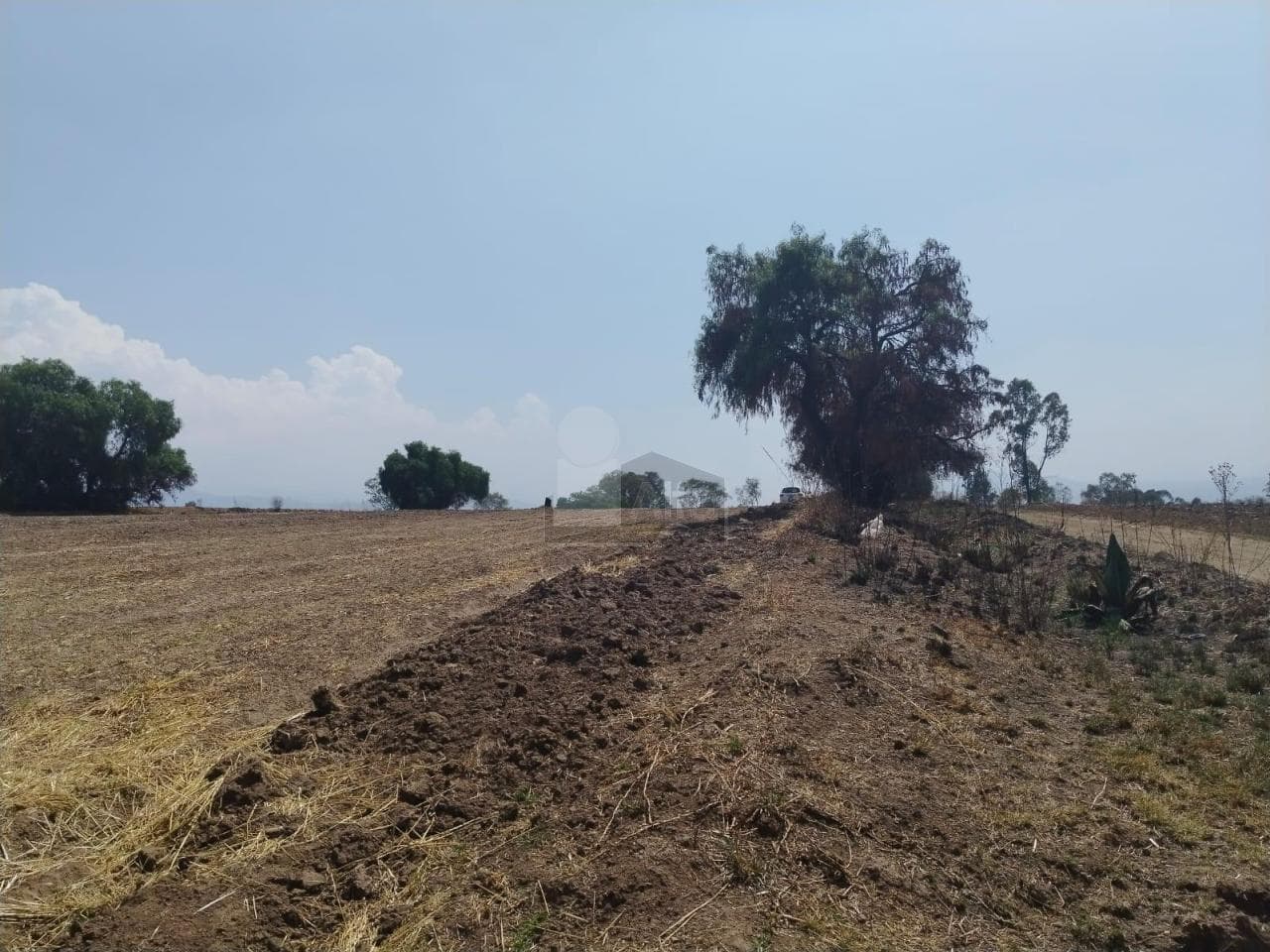 Fotos adicionales