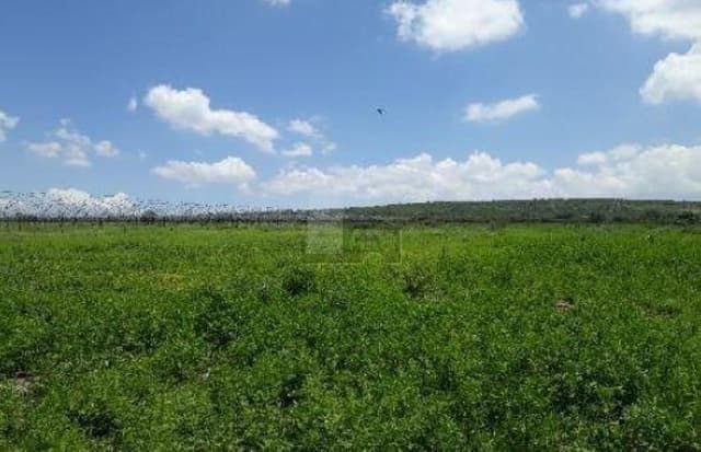 Terreno Agrícola en Venta en San José Iturbide, Gto.