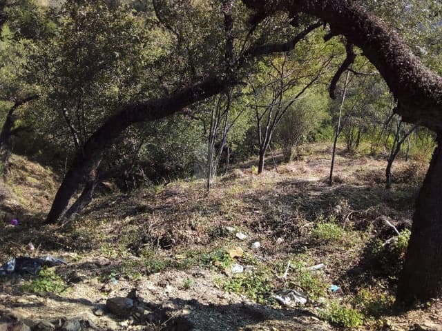 Terreno en venta, San Eugenio, Raices, Allende, Nuevo León.