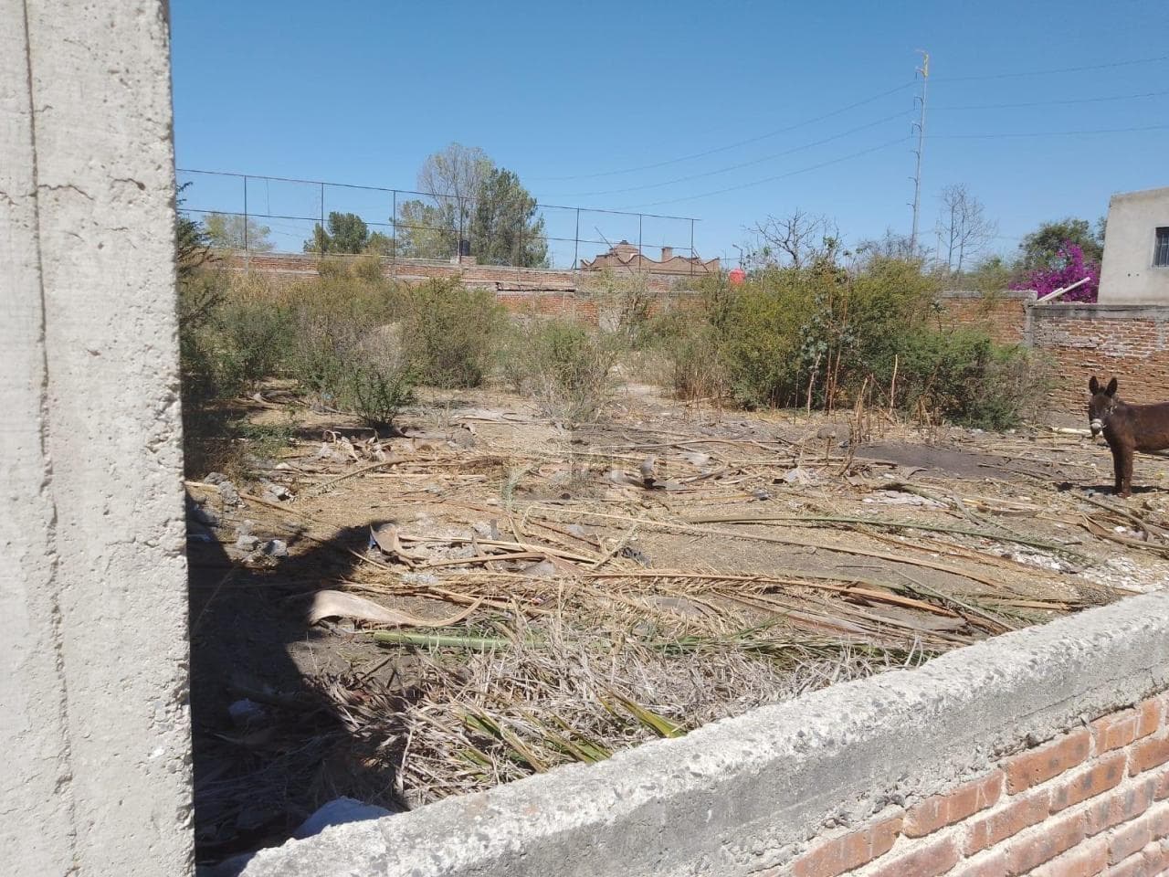 Fotos adicionales