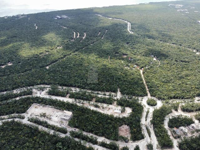 5 Terrenos en Venta en Selvazama, Tulum Quintana Roo